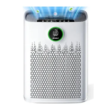 Air_Purifier_For_Home5